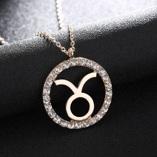 

1 pc women girls pendant necklace crystal zodiac sign necklaces 12 constellation jewelry gifts b99, Silver