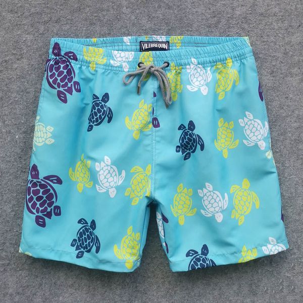 

designer mens summer beach shorts board shorts sea turtle printed swimwear quick dry beach pants 6 colors m-2xl
