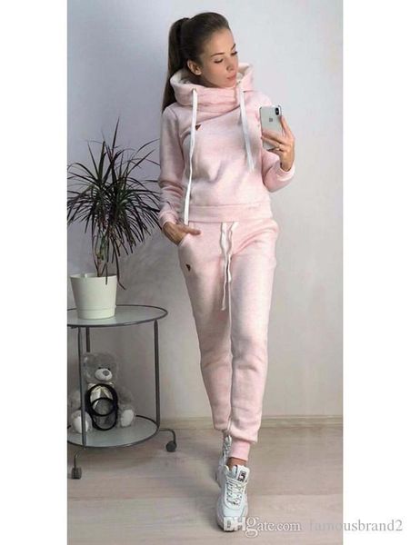 

women suits hoodies pants 2pcs tracksuits clothing sets winter thick sports, Gray