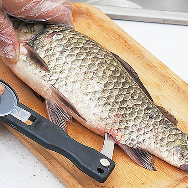 Escova de pele de peixe raspagem escala de pesca escova de cozinha barra de cozinha graters rápido remover faca remover faca de limpeza descascador raspador scaler mutfak malzemeleri