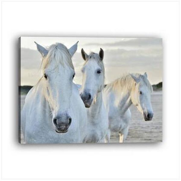 

wholesales 1 pc frame modern style horse inkjet decorative painting