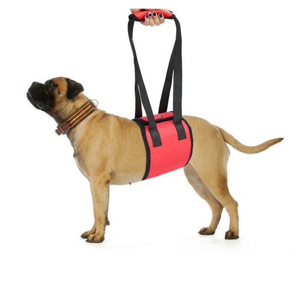 

1pc portable assist sling lift rehabilitation harness for dog injuries joints support belt for elderly and sick pet dog 3 colors