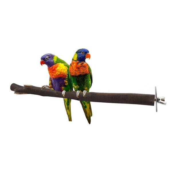 

branch pet supplies practical bird toy scratch stand stick cage accessories parakeet chewing paw grinding wood parrot perch
