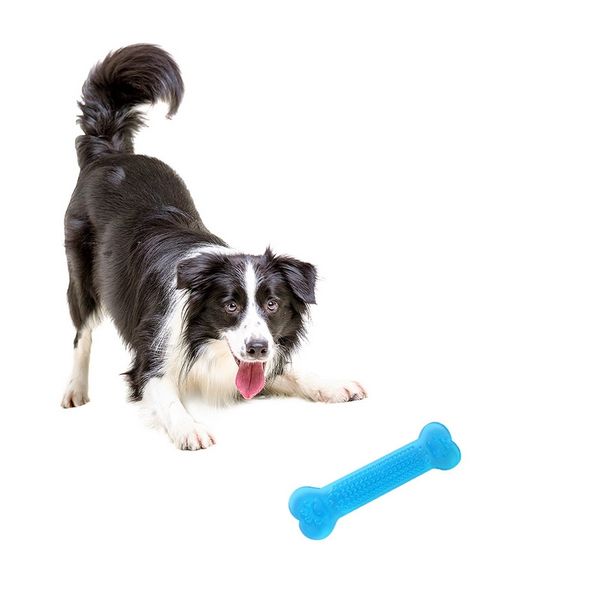 

pet chew игрушки кость форма для собак обучение молярная игрушка зубы упражнение взаимодействие пвх supplies 1 шт кинологический послушание