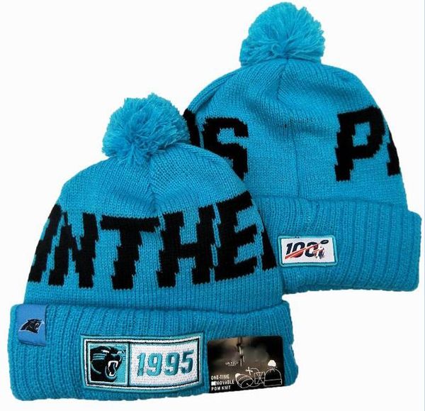 panthers beanies
