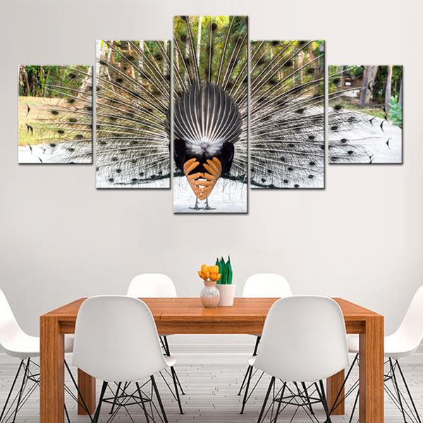 

hd prints posters canvas painting modular 5 pieces animal beautiful peacock pictures wall art home decor frame for living room