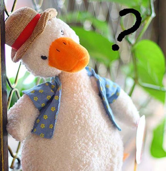 

squirtle plush dolls 19.7inch cute snorlax plush doll soft stuff toy stuffed animals for baby gifts shoe011 p21