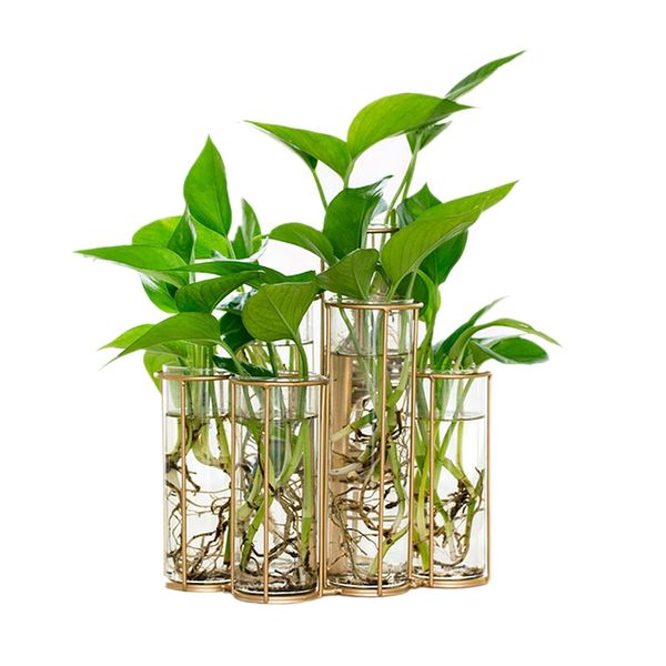 

jeyl modern tube shape glass vase bottle for flower plant diy home decoration terrarium hydroponic green plant container glass