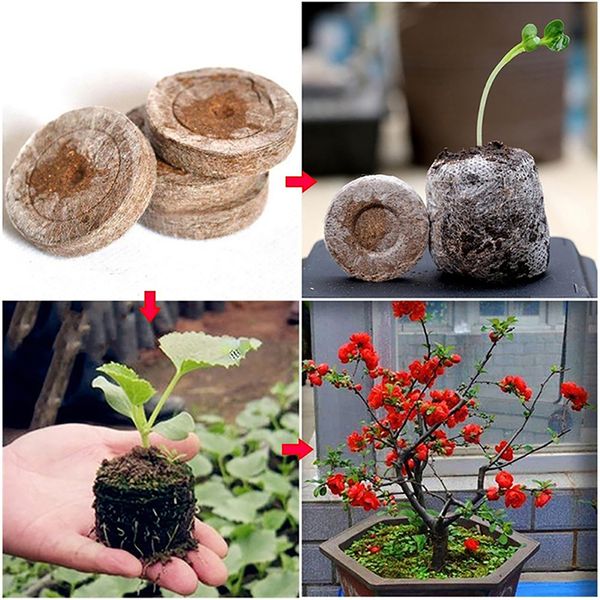 

30mm jiffy peat pellets seedling soil block rockwool cubes maker starting plugs seeds starter professional for garden