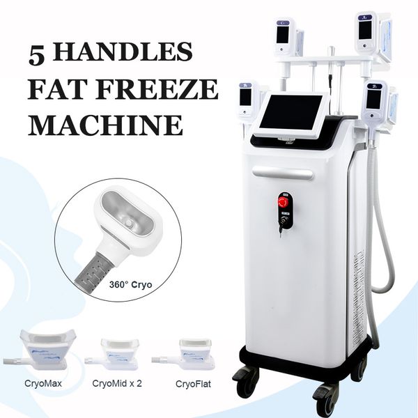 

fda approved 5 handles cryolipolysis slimming cool body shaping system anti cellulite fat e treatment lipo fat reduction cryo machine