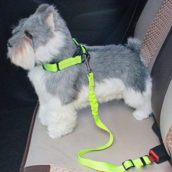 

elastic nylon pet leash reflective dog car safety seat belt adjustable vehicle seatbelt harness cat dog leashes