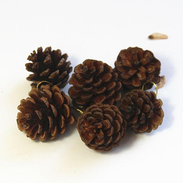 

6pcs artificial flowers natural native pine cone plant wedding christmas decoration diy craft home decoration wreath clip