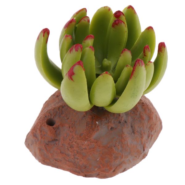 

succulent plant home ornament reptile habitat decoration aquarium fish terrarium landscape decor