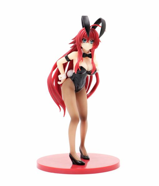 

high school d *d devil college rias rabbit girl boxed hand office