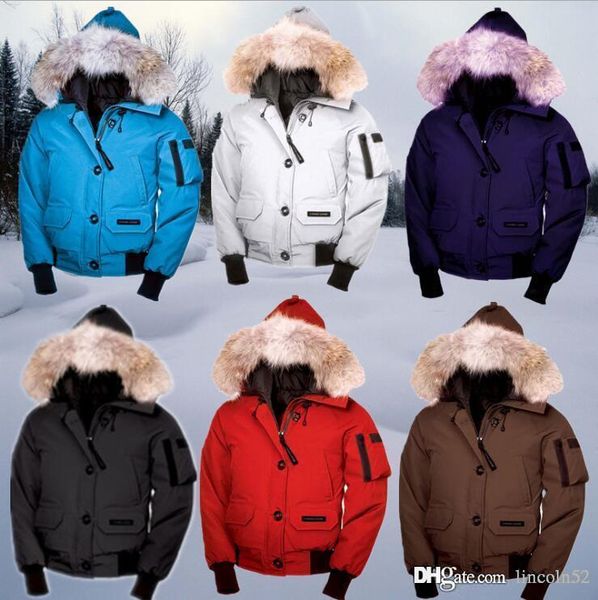 

Down e Parkas down_jacket2