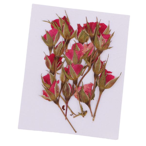 

20 pieces pressed natural real dried flowers rose flower for diy resin ornament craft christmas xmas card making decoration