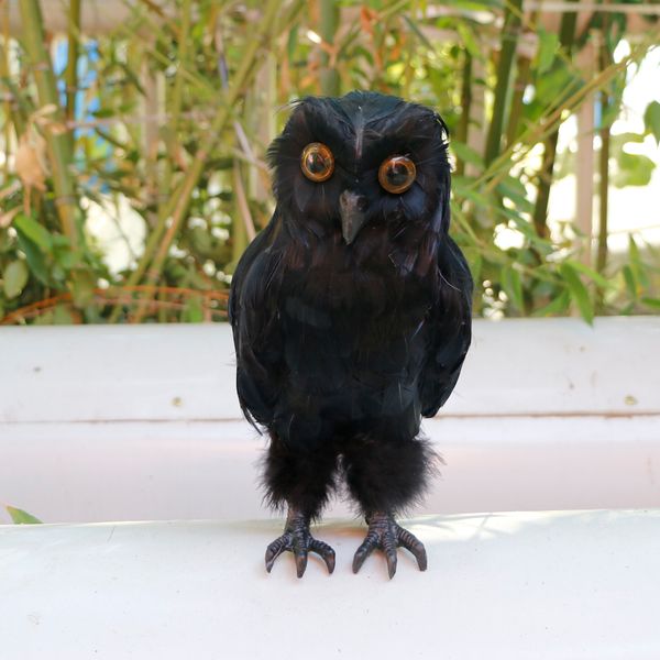 

искусственное перо black owl фигурка статуя 27см lawn украшения