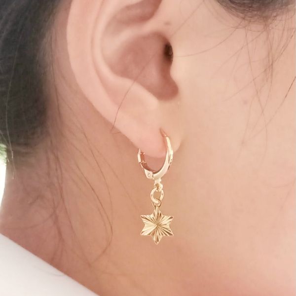 

new earings fashion jewelry petal acrylic zircon gold stars punk earrings circle earrings for women brincos wholesale, Silver