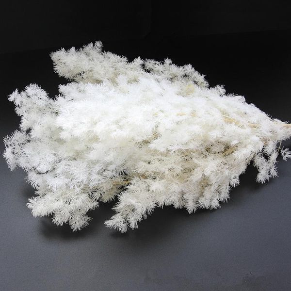 

60g/lot,nature fresh preserved asparagus myriocladus, eternal dried flowers for wedding party home decoration,flower arrangement