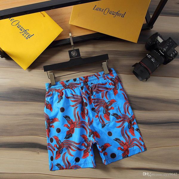 

2020 новые пляжные брюки официальный сайт синхронные удобные водонепроницаемые ткани мужские цвет: изображение цветовой код: -xxxl 014, Blue