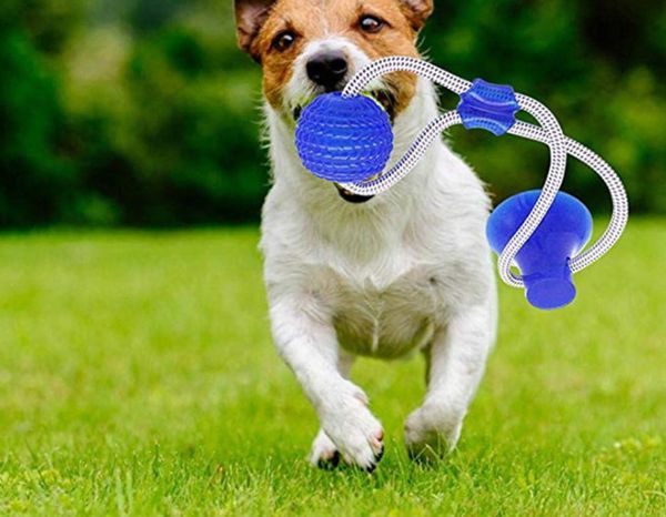 

the latest pet toy ball can be used for tug of war with dogs and pets, chew teeth, clean teeth, ing