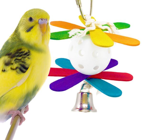 

parrot gnaw toys bird toys plastic the ball colour wood pull string