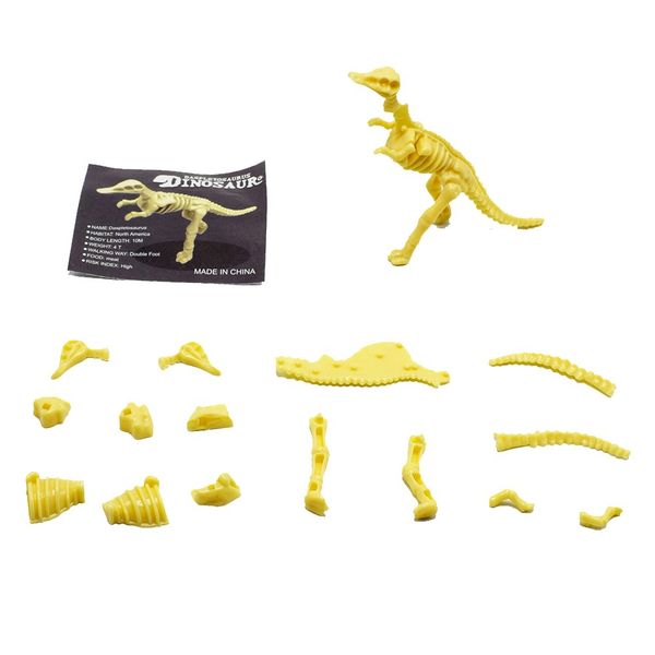 

children split assembled assembly allosaurus diplodocus ceraia dinosaur skeleton diy toy-capsule toy funny egg toy