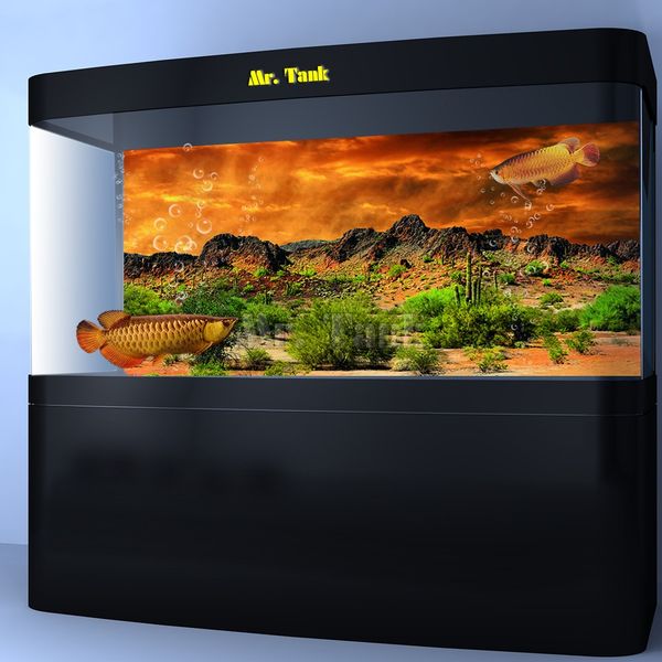 

mr.tank reptile habitat background poster hd desert view with cactus terrarium house wall decorations