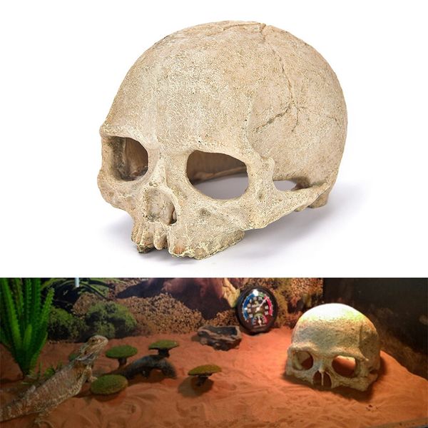 

fish tank aquarium ornament terrarium decorations resin skull human skeleton fish tank decoration