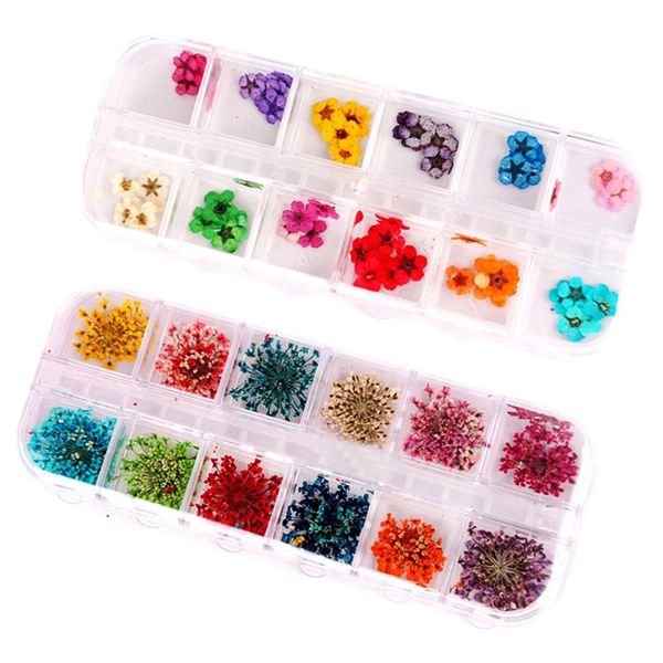 

newly 12 colors diy nail art mixed dried flowers with bottle 3d dry flower decoration nails stickers manicure tips ctn88, Black