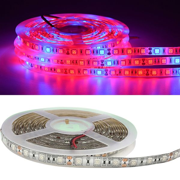 

водонепроницаемые светодиодные ленты растениеводство светло-красный синий 4: 1 для аквариума парниковых гидропоники pant сад цветы veg света