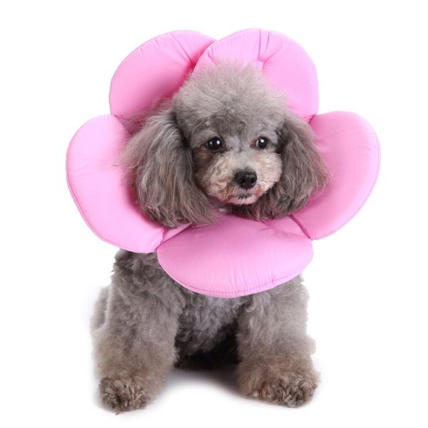 

6 color pet cat dog flower neck collar anti bite beauty adjustable neck strap protector cover ring dog accessories