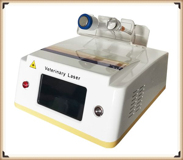 Outros equipamentos de beleza 980 Diodo a laser fisioterapia Fisioterapia OPT Terapia de Animal Medical Terapy CE Aprovada