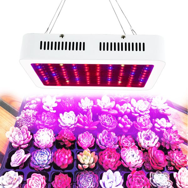

led grow light 1000w high cost-effective double chips full spectrum uniform color for whole growth circle hydroponic