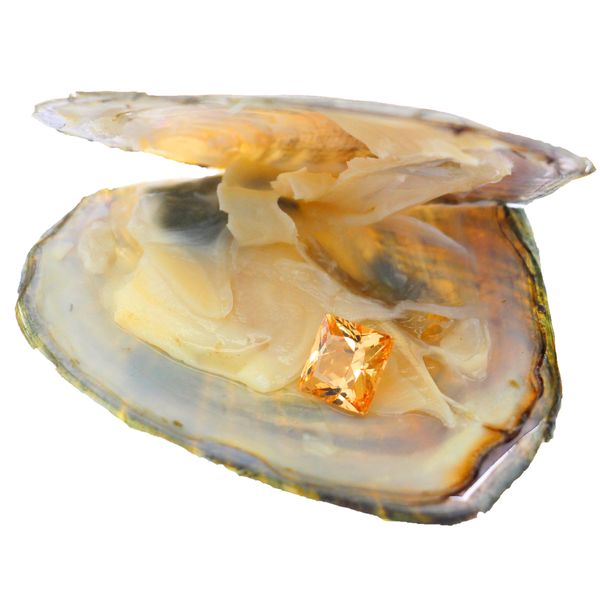 

single square gem 8mm loose orange cubic zircon is vacuum-packed in an oyster, Black