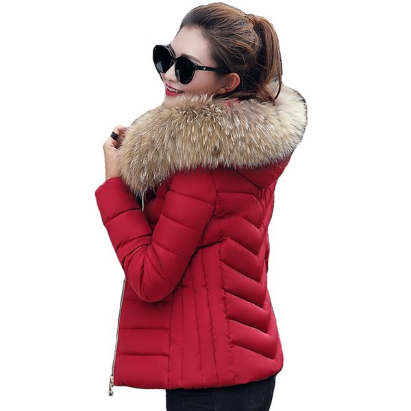 

female coat autumn with fur collar hooded cotton padded winter jacket women short outwear basic jacket, Black;brown