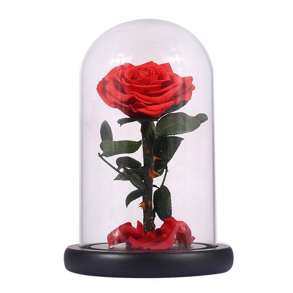 

glass cover fresh preserved rose flower barbed rose flores for wedding marriage home party decoration valentine's day gift red