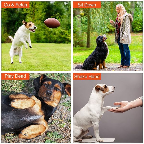 

adjustable pitch with lanyard strap dog whistle for training dog ultrasonic patrol sound repellent repeller mascotas perro dog training ob