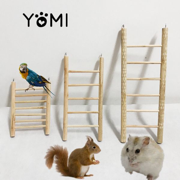

parrot hamster squirrel sweet weasel to climb ladder stairs entering the nest stairs scaling ladder gnaw toys bird toys