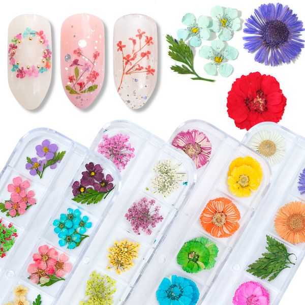 

1case natural dried flower nail art floral leaves gypsophila paniculate daisy camellia slices decal 3d manicure decoration jifl, Silver;gold