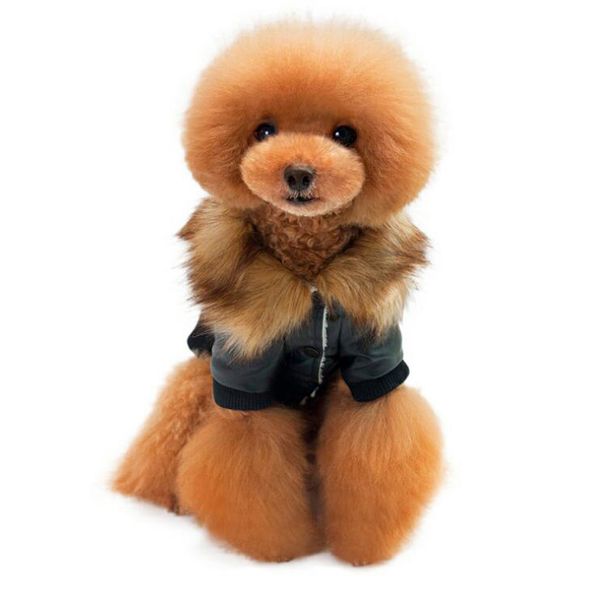 

pet cat dog warm clothes winter coat dog cat pet jacket costume, black/wine red