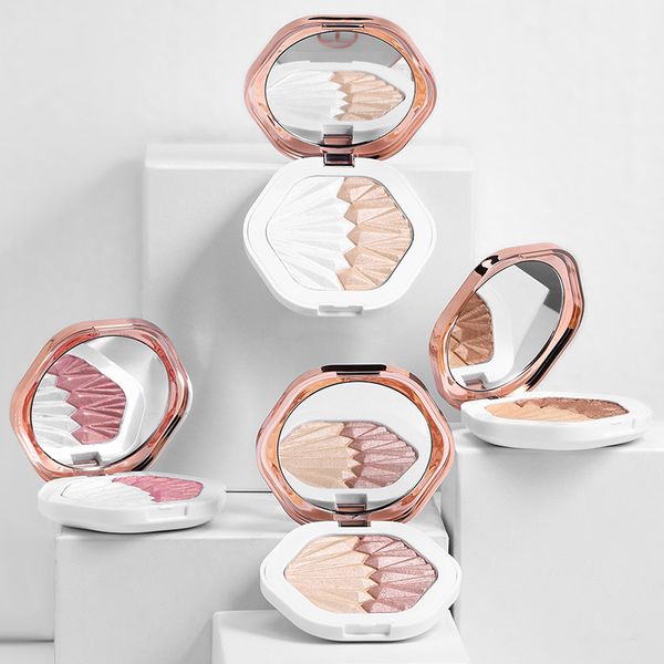 

face blush powder makeup rouge blusher palette oil control concealer brighten skin concealer whitening highlighter