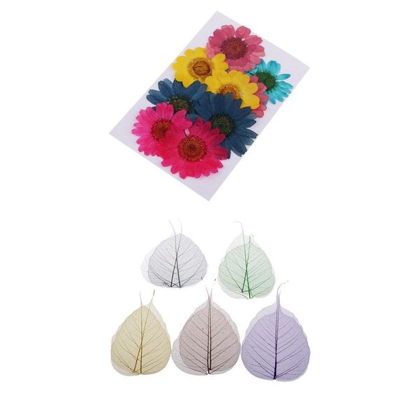 

20x natural real dried pressed flowers for art diy scrapbooking decoration
