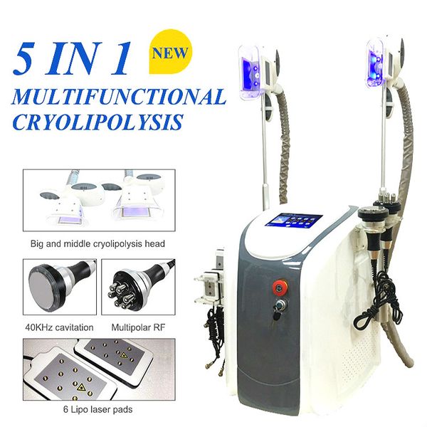 

2020 cryolipolysis machine double cryolipolysis handles multifunction fat e slimming ce/dhl ing