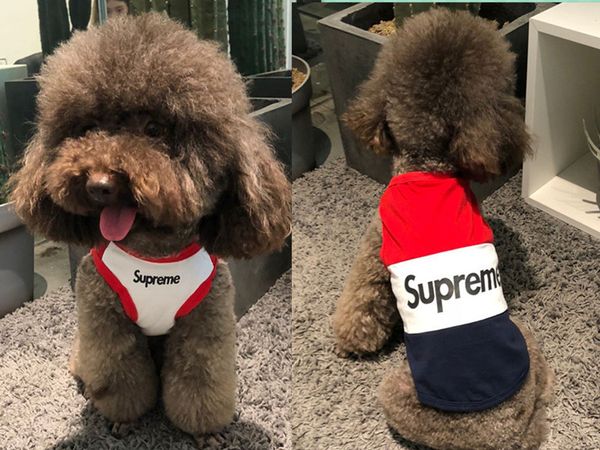 

Roupas para Cães dizitime