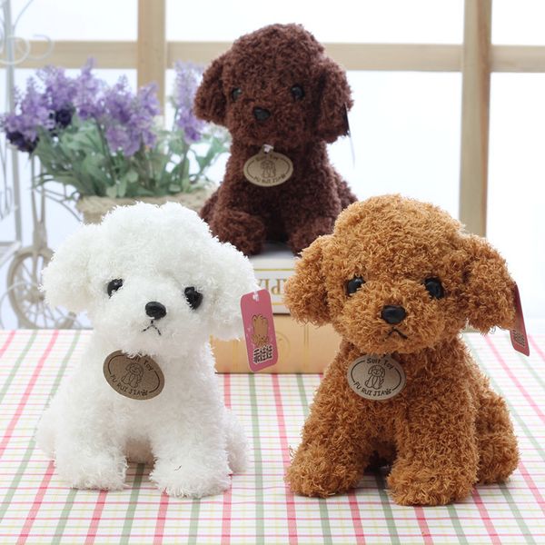 Acheter 20cm Petit Chiot En Peluche Chiens Jouet Blanc Orange Brun Clair Brun Doux Nuisettes Enfants Jouets Pour Les Enfants De Fête Danniversaire