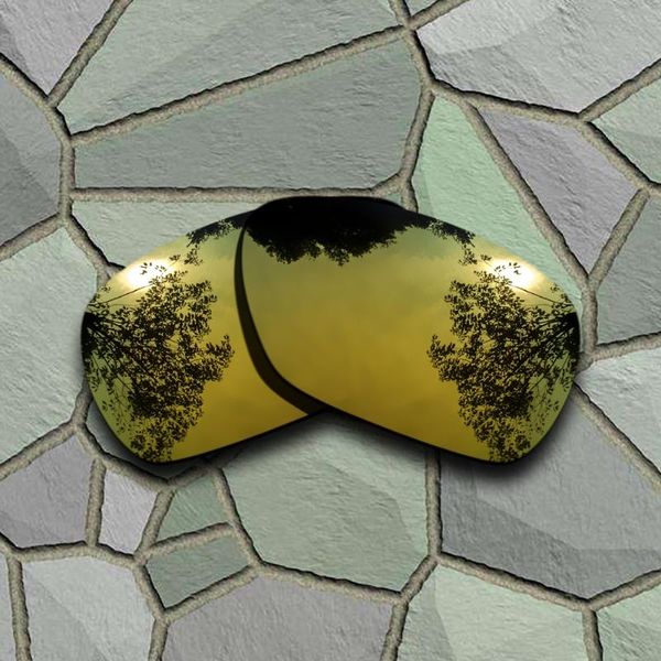 

yellow golden sunglasses polarized replacement lenses for inmate