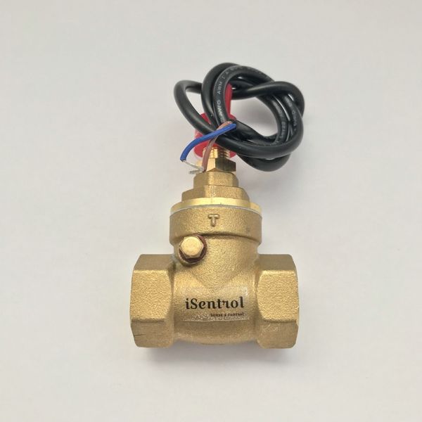 

usp-fs21ta normally open circuit paddle flow switch 70w max load dc250v ac220v max reliable bsp g 1/2" female made of brass