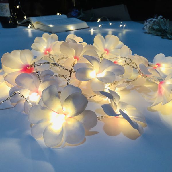 

led simulation frangipani light string usb wedding christmas party garden festival decoration lantern decoration for home