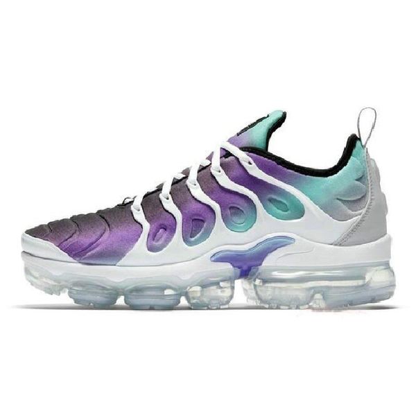 vapor tn blanche